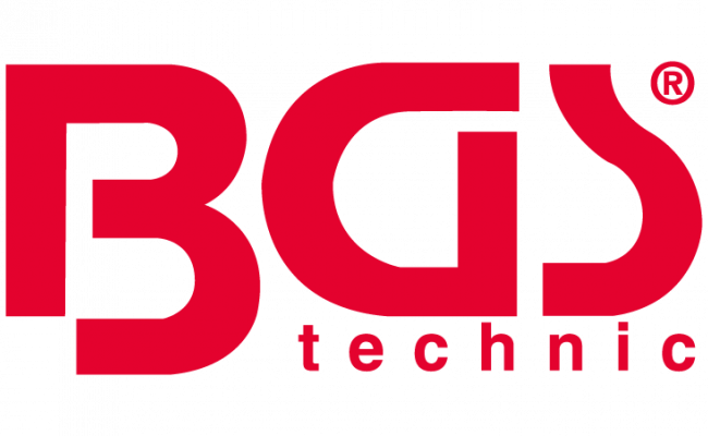 Web-logo_BGS