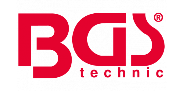 Web-logo_BGS