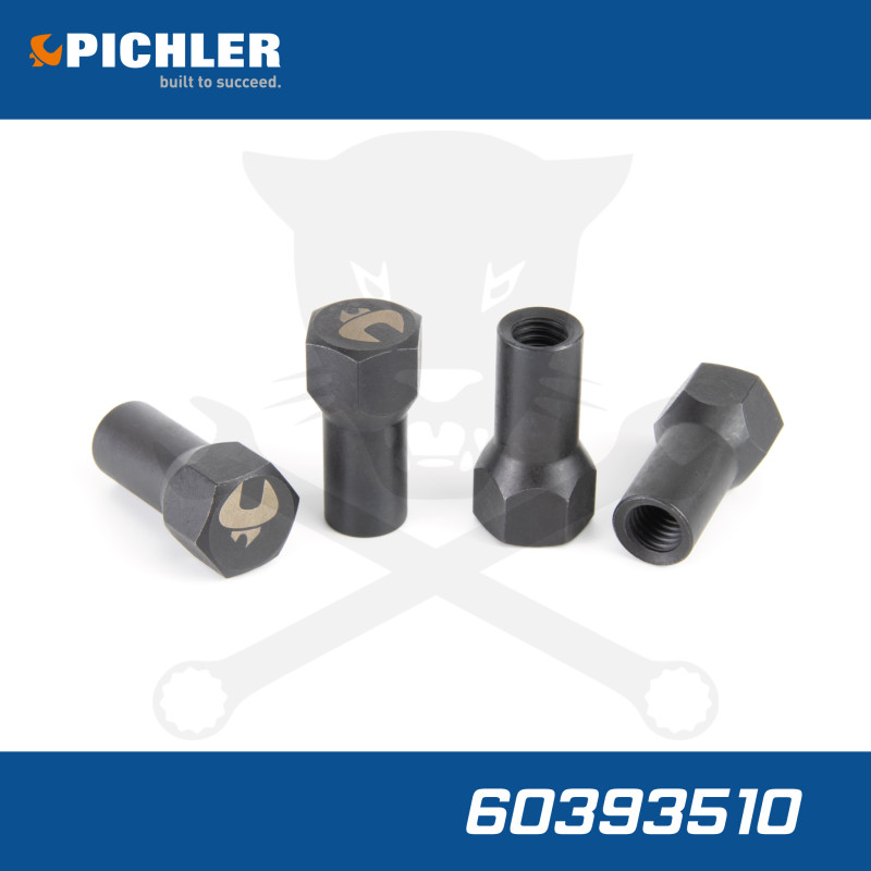 Pichler porlasztó leszorító csavar Felújító készlet-hez 10 db pótcsavar