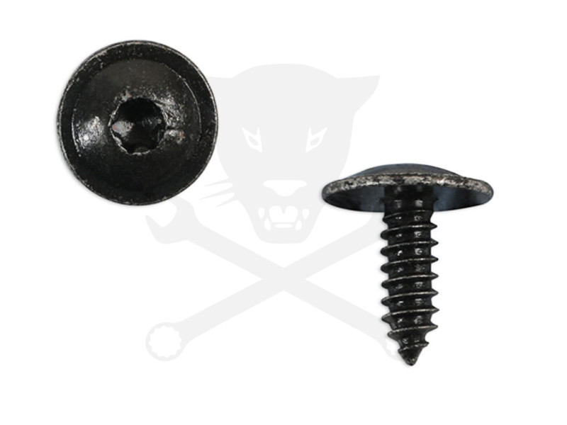 Acél rögzítőcsavar Torx kialakítású fejjel VW gépk. 10 db -