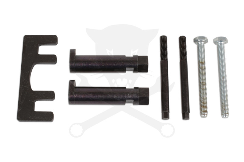 Porlasztó kiszerelő készlet Jaguar, Land/Range Rover 2.7-V6/3.6-V8 -TS20