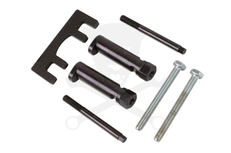 Porlasztó kiszerelő készlet Jaguar, Land/Range Rover 2.7-V6/3.6-V8 -TS20