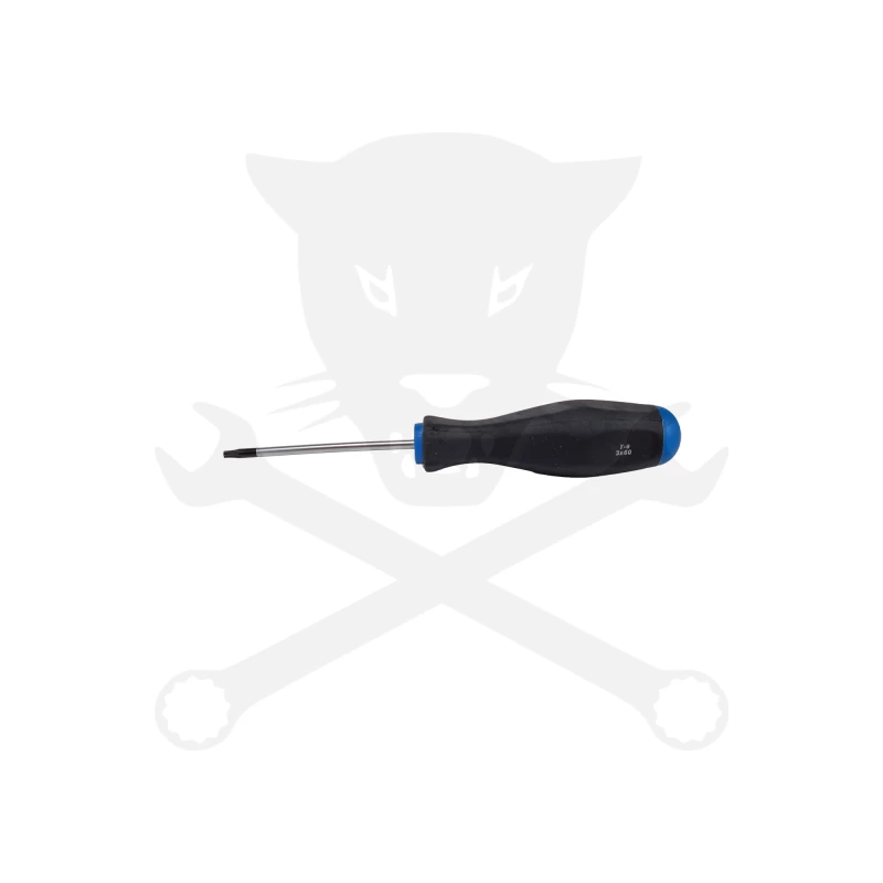 Csavarhúzó torx - lyukas -  T9 - 60 mm - BGS