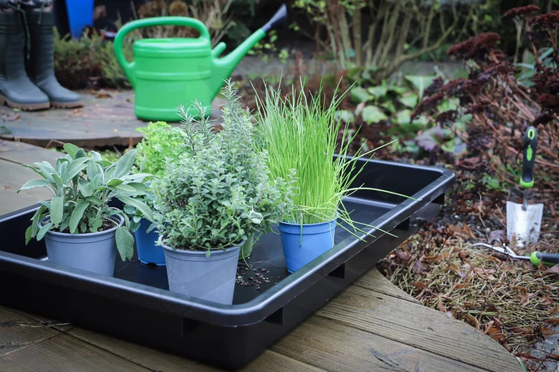 Olajfelfogó csepptálca 880x600x100 mm - Polietilén - BGS