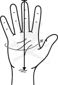 Kesztyű hegesztő, hő-lángálló- Barna, AWI/TIG 10/XL T3000 TIG- ESAB