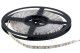 Szalag LED 5050 beltéri 120 db/m - 6500K - STELLAR ELMARK